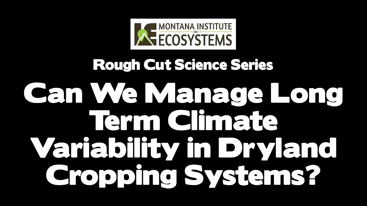 Can We Manage Long Term Climate Variability in Dryland Cropping Systems?