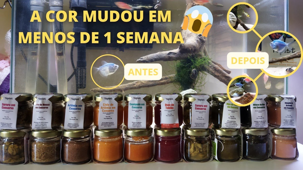 Deu vontade de reabrir a Loja AQI!!!! Olha só isso