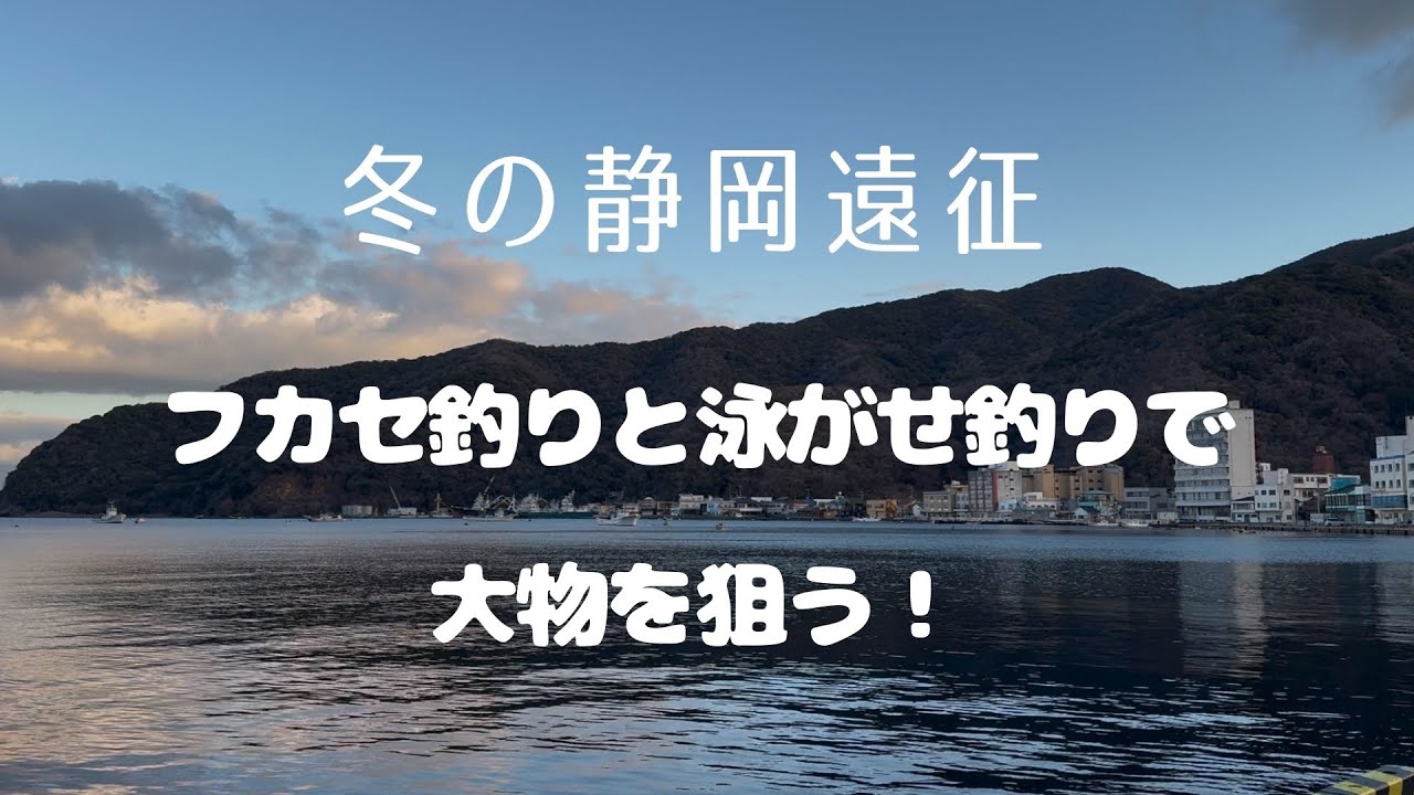 フカセ釣りと泳がせ釣りで大物を狙いに静岡へ