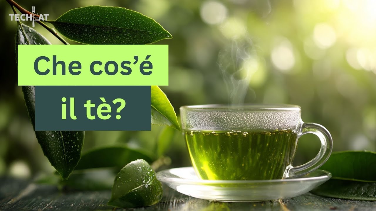 Il Tè: Scienza, Storia e Tipologie – Tutto in una Tazza!