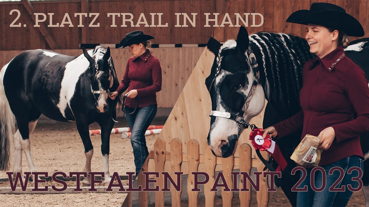 Westfalen Paint 2023 - Trail in Hand Rasseoffen
