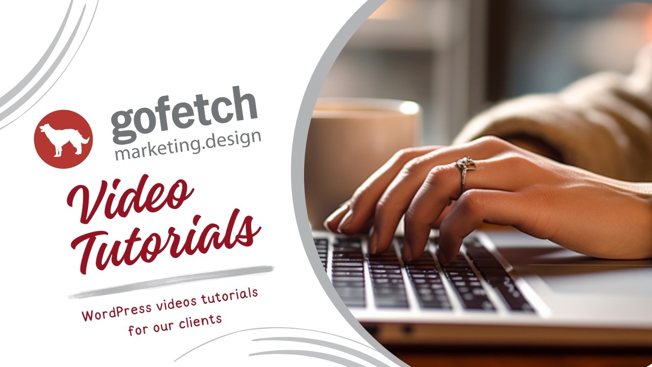 Blog posts on Avada WordPress Theme