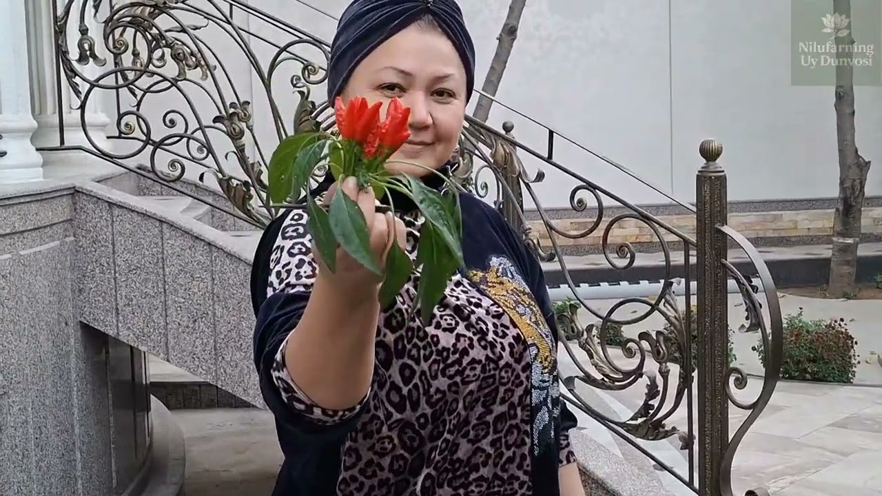 Qishga tayyorgarlik - 1 qism
