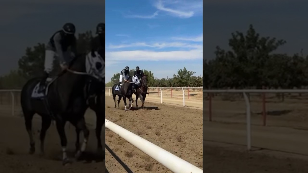 El chanate vs Suruyo 2025 #parati #carrerasdecaballos #musica #2025 #delano