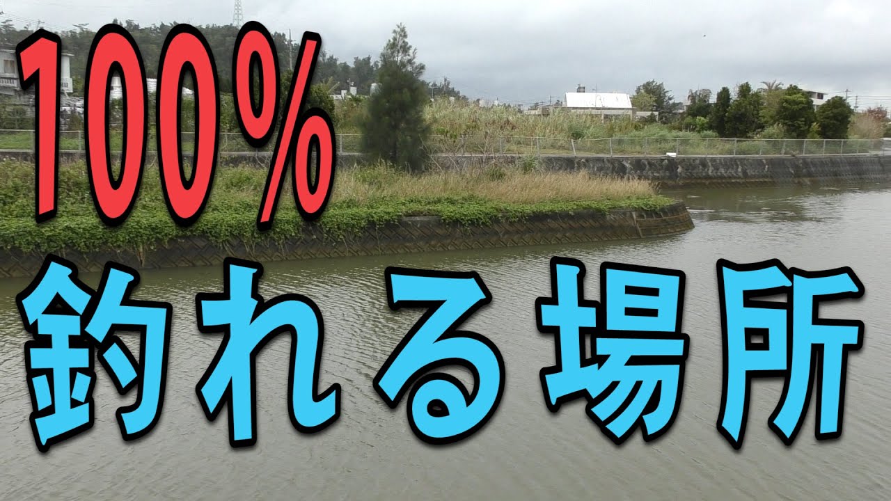 100％釣れるポイントで釣り対決【爆釣】