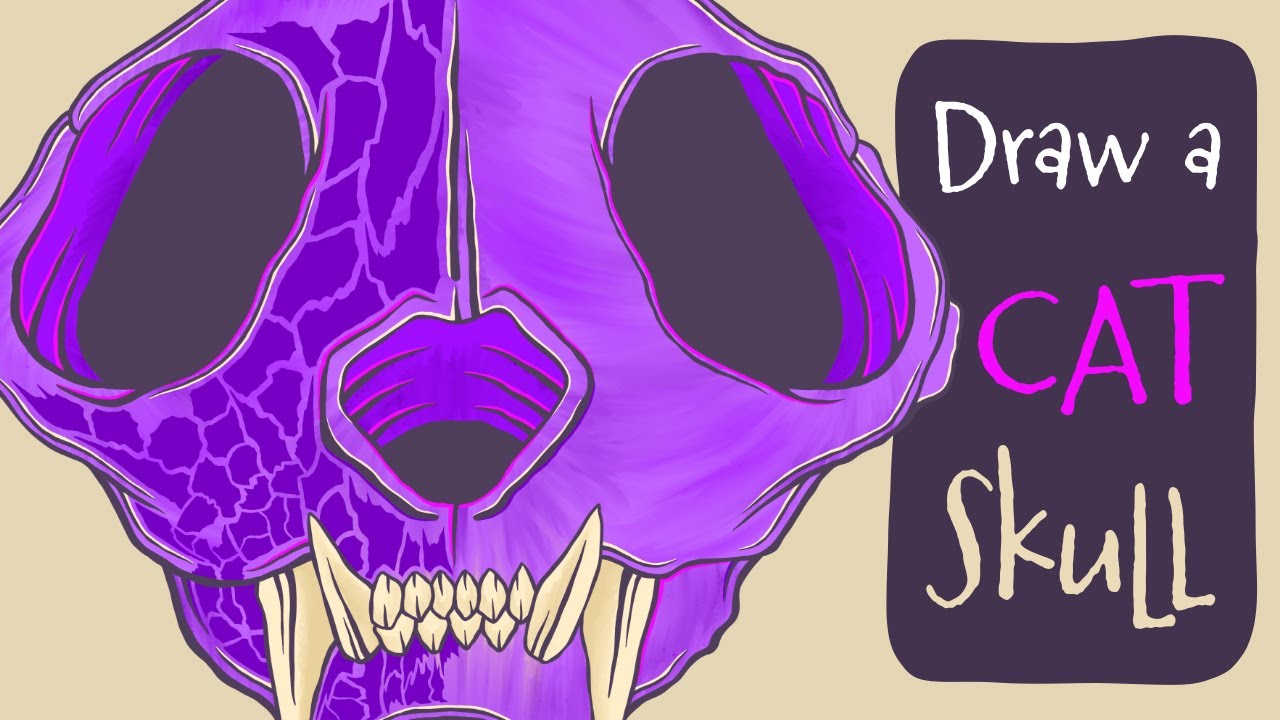 How to Draw a Cool Cat Skull in Procreate