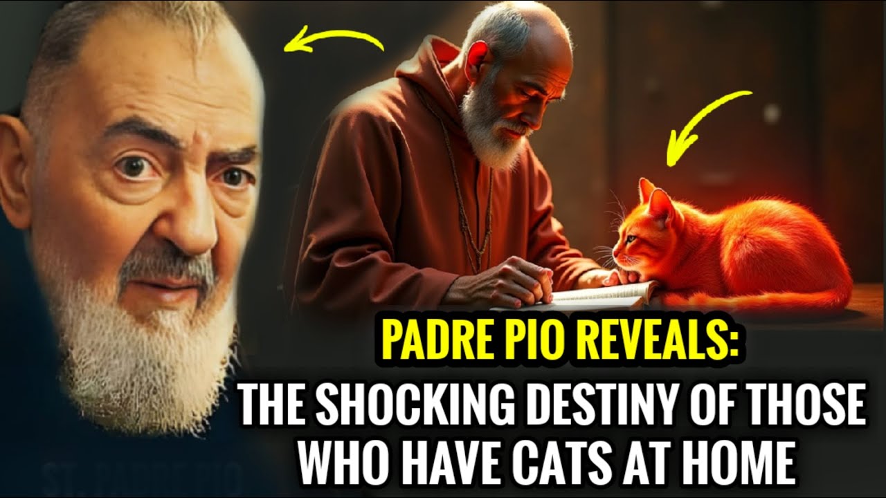 The Fate of Those Who Have Cats at Home and... Watch How Doors Open Effortlessly | Padre Pio