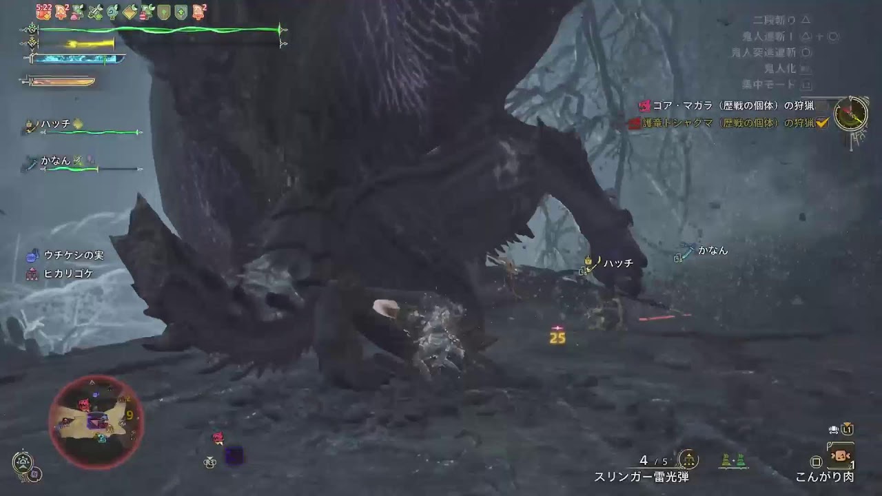Monster Hunter Wilds　参加型