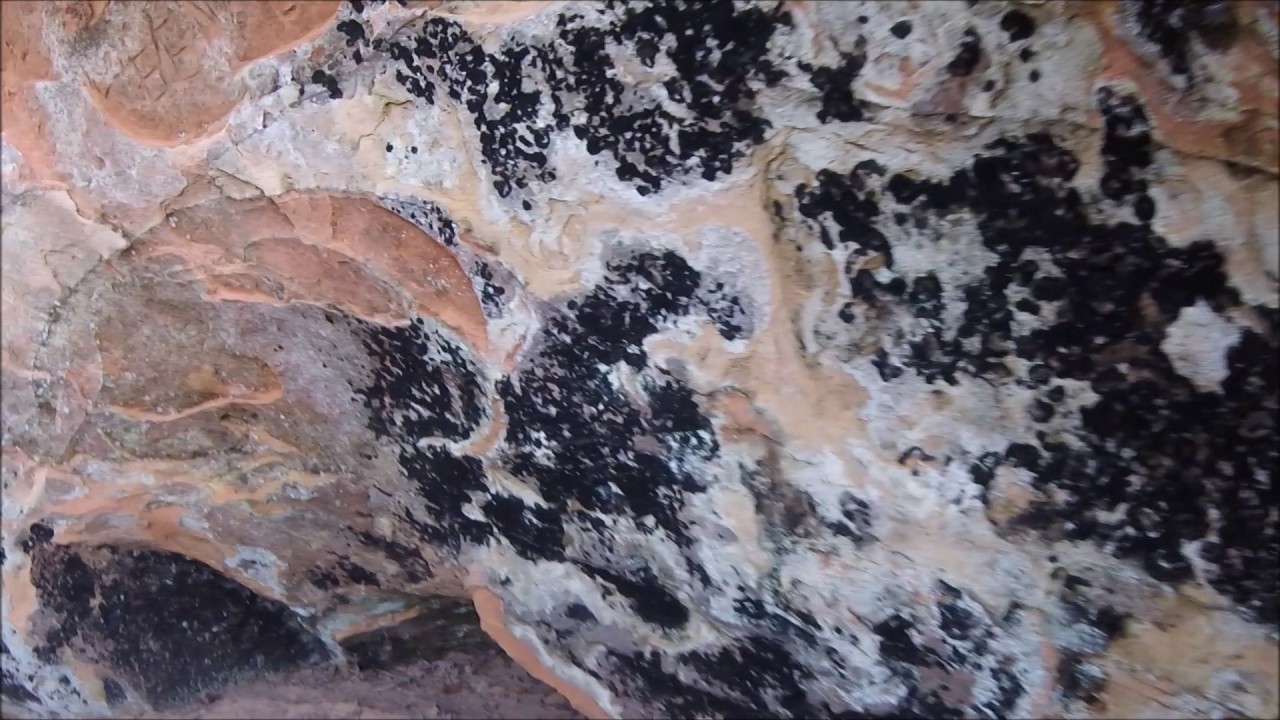 Wellsville101at Red River Gorge Kentucky