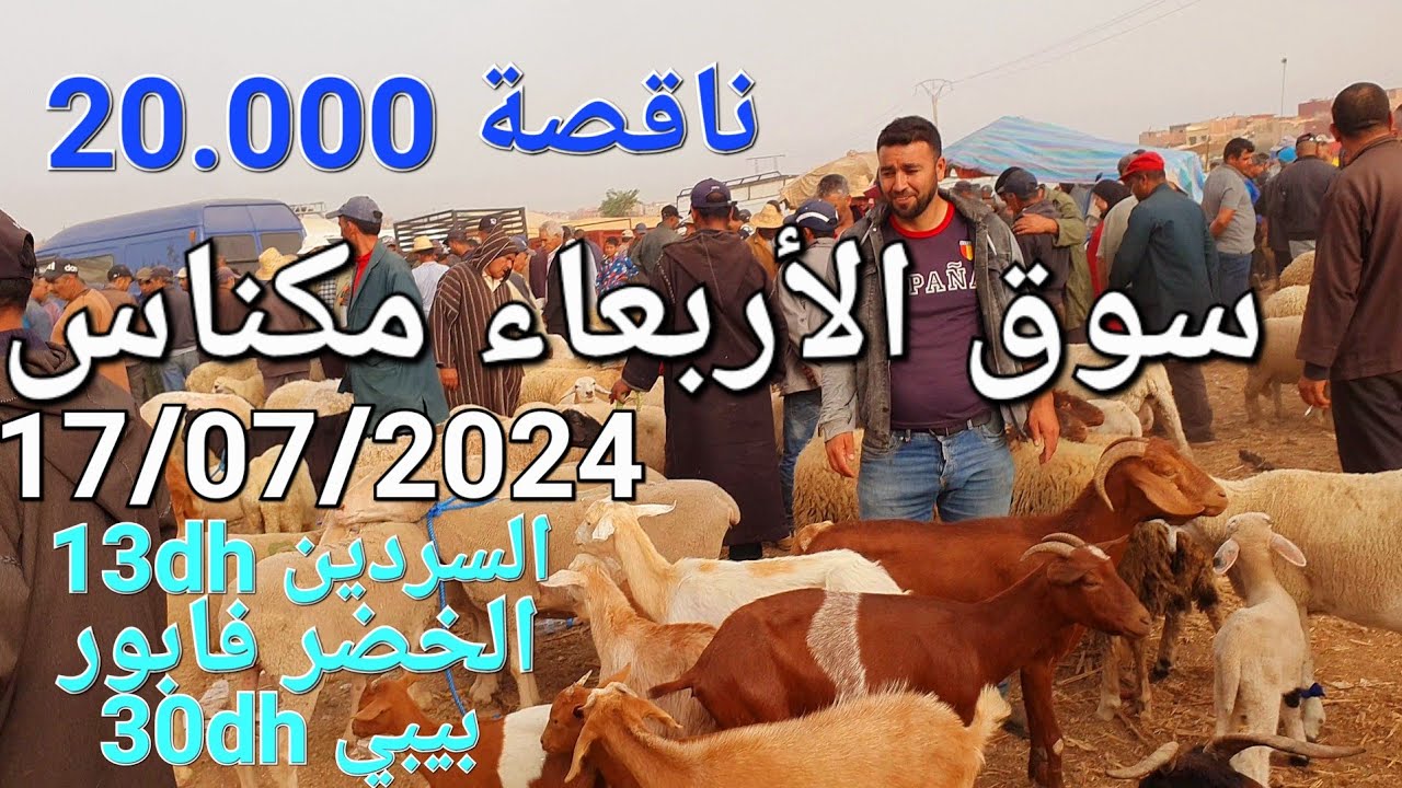 أثمنة الغنم والبقر والخضر واللحوم سوق صوريا مكناس اليوم الأربعاء 17/07/2024