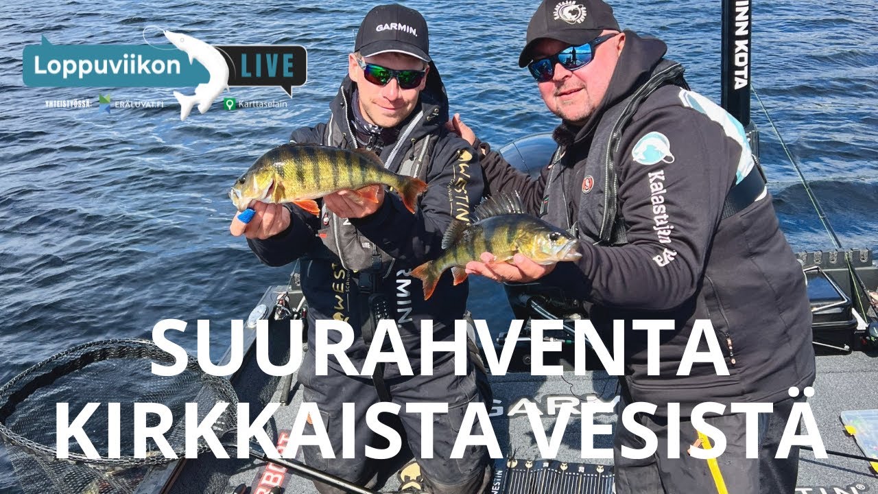 Loppuviikon LivE: Suurahventa kirkkaista vesistä