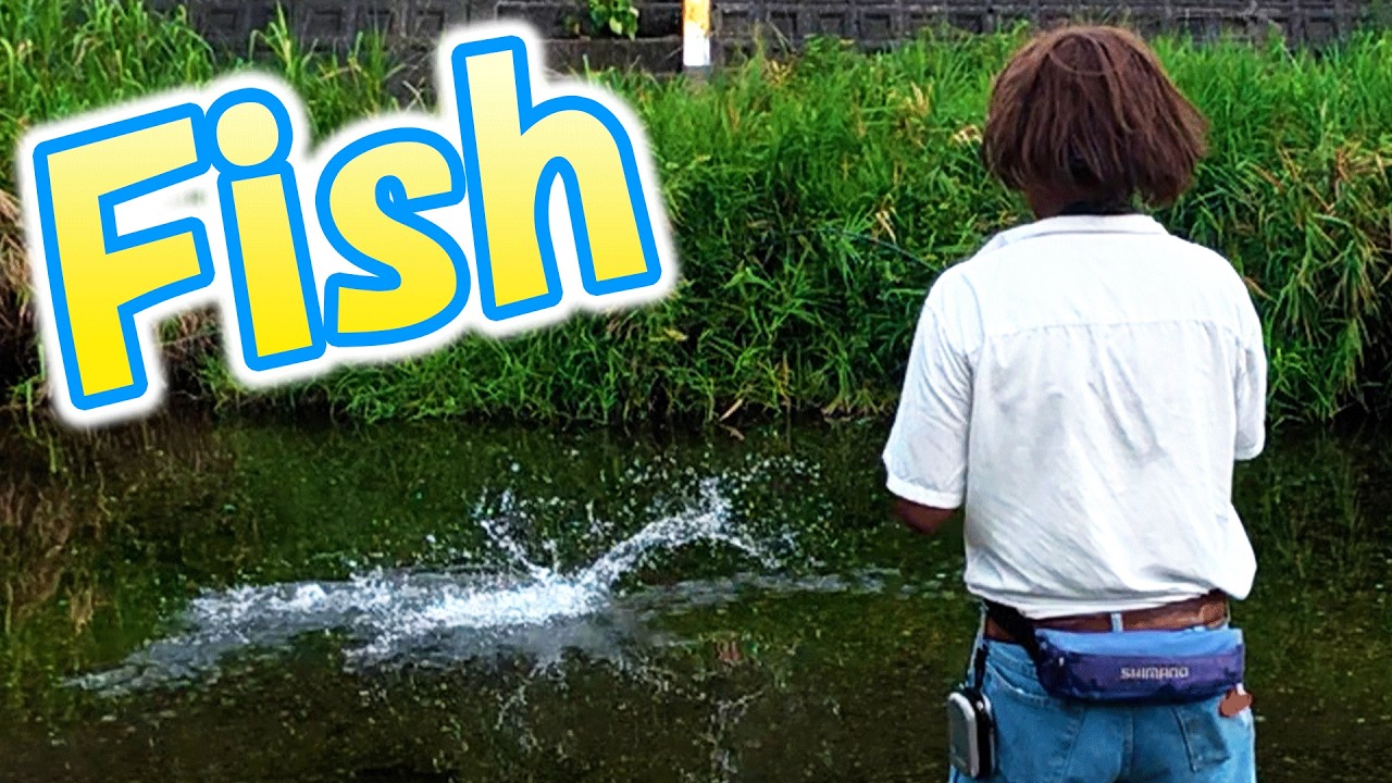 夏の小川で小鮎釣りしてたら最後にデカイ魚が来た！【琵琶湖の支流】