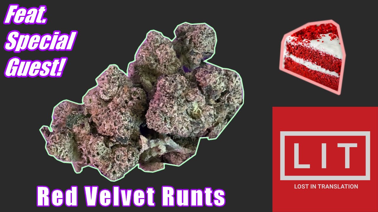 STRAIN REVIEW l Red Velvet Runts