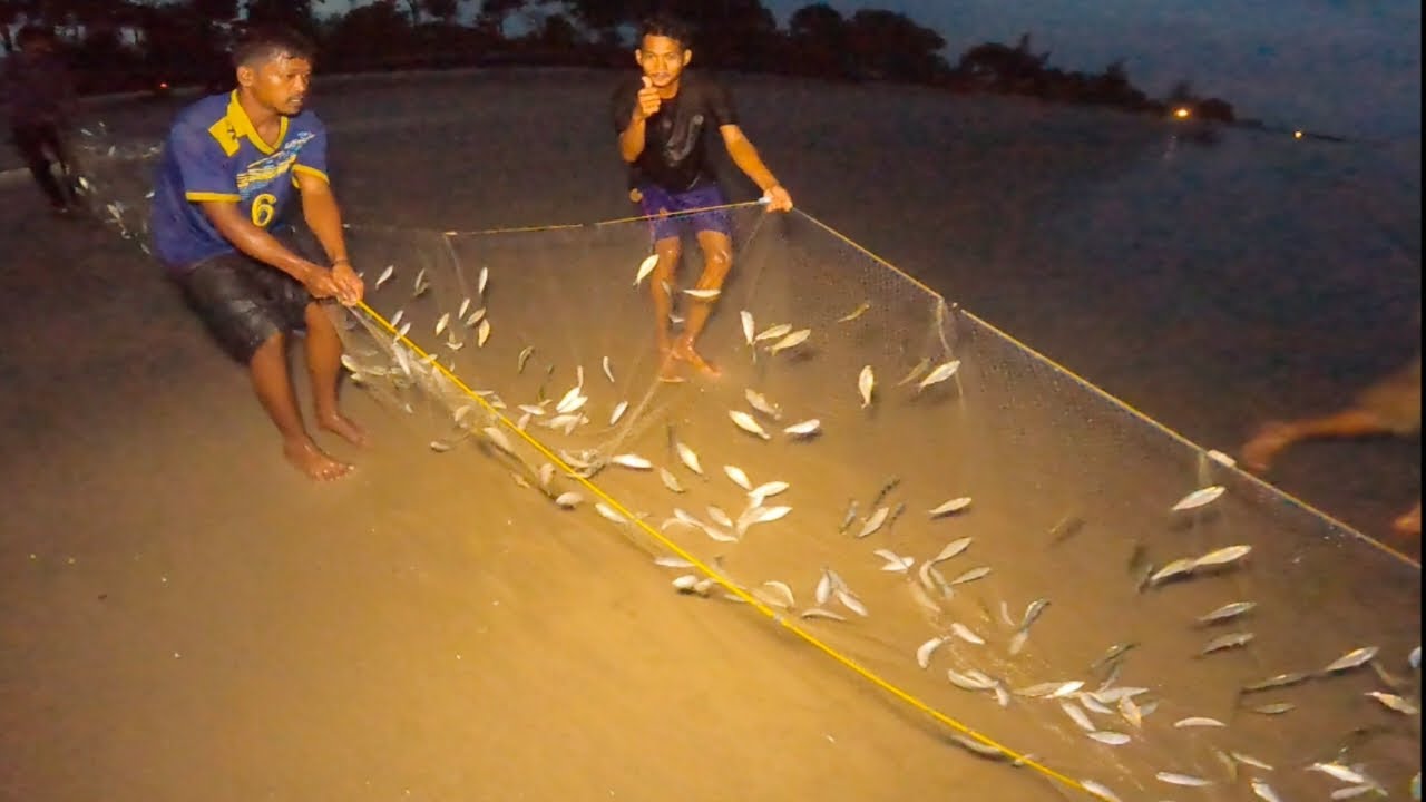 Panen‼️menjelang gelap kawanan ikan ini makin rame
