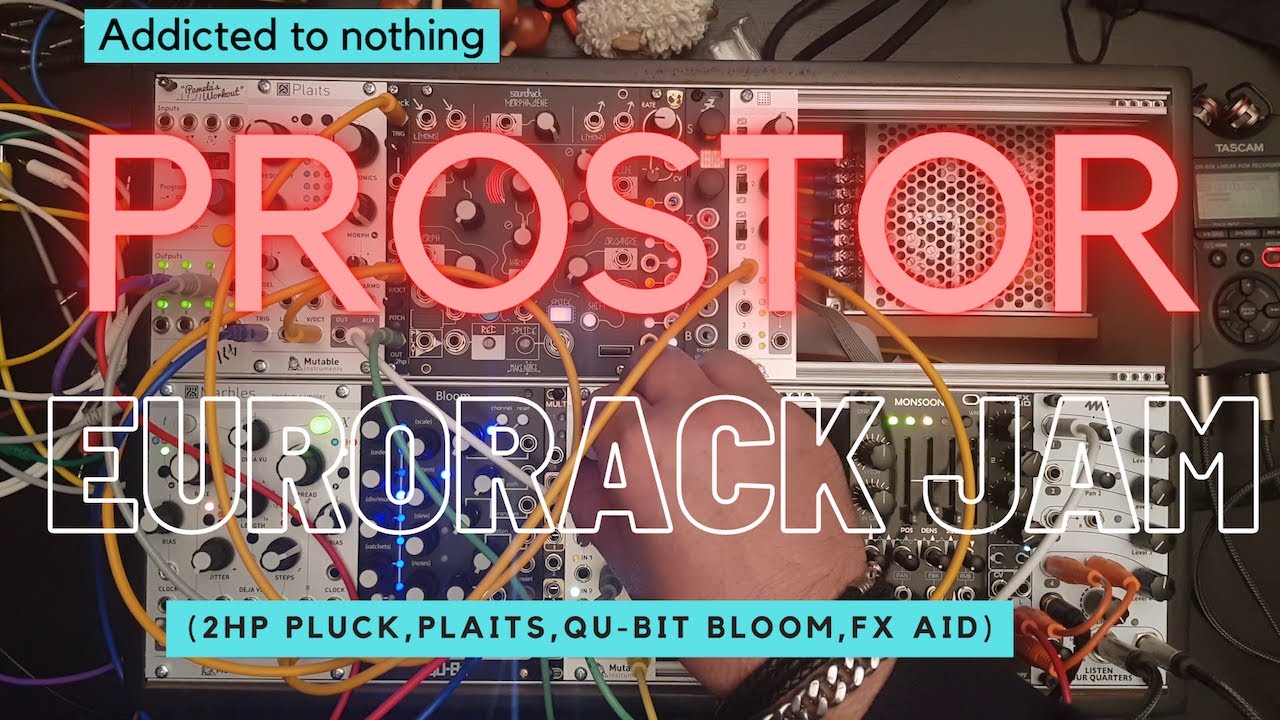 Addicted to nothing - Prostor (Plaits, Pluck, Bloom, Fx Aid, Disting mk4)