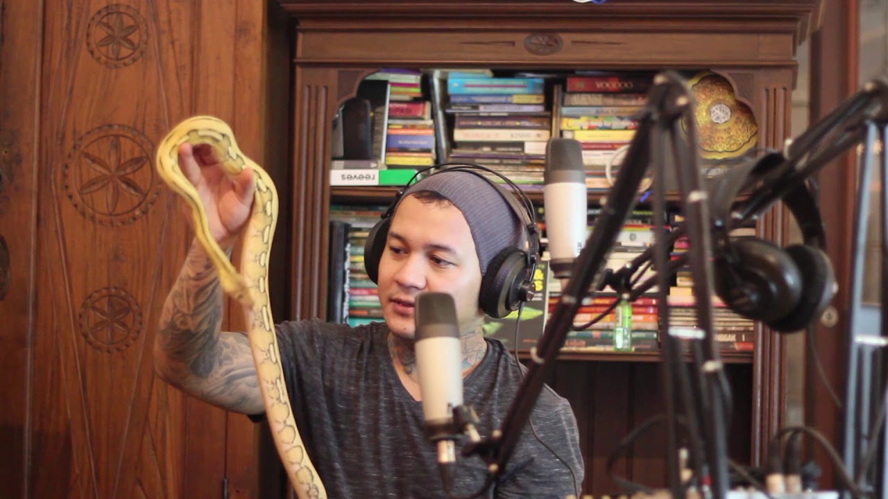 SNAKEHEAD PODCAST - RETIC MORPH REVIEW #3 | TIGER PLATINUM & PURPLE PHASE ALBINO TIGER