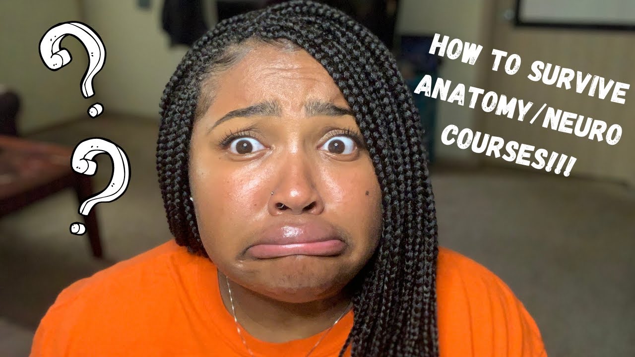 7 Tips On How to Survive Anatomy/Neuro Courses! | SHOtheOT