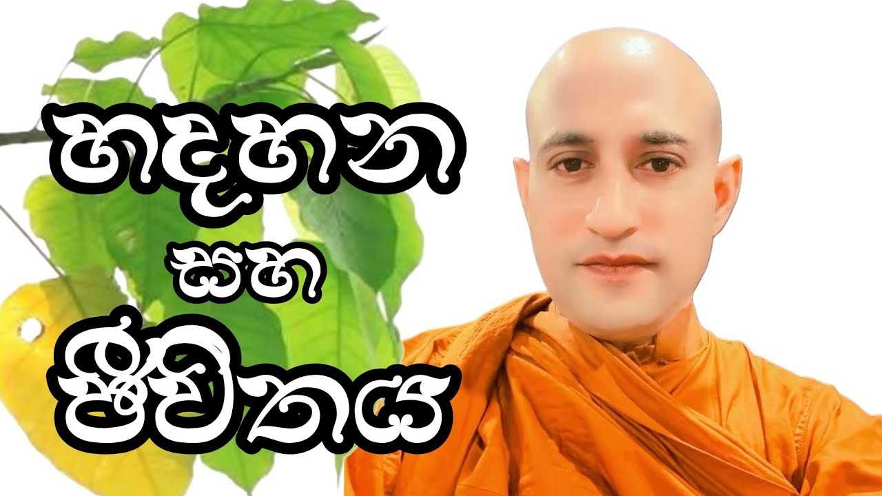 🪷🙏හදහන සහ ජීවිතය පිළිබඳ වටිනා ධර්ම දේශනාවක් | Bhanthe Maliyadewa 🙏