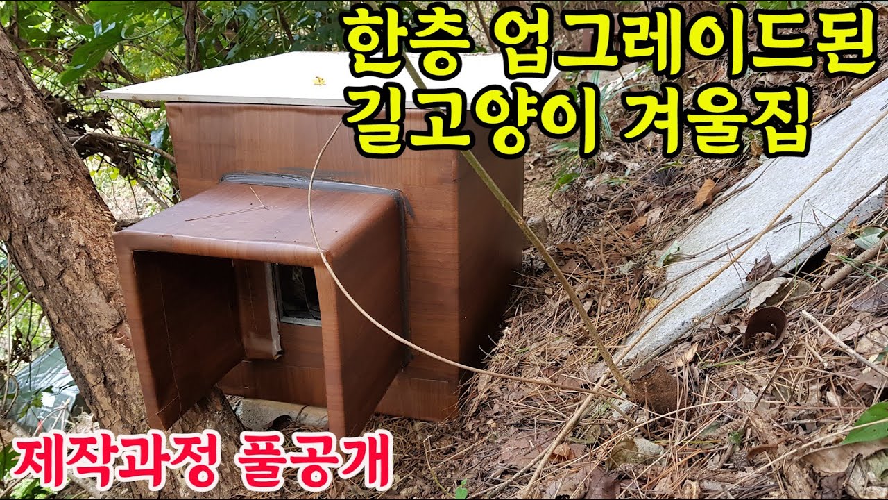 한층 업그레이드 된  단프라박스 길고양이 겨울집(제작과정 풀공개)