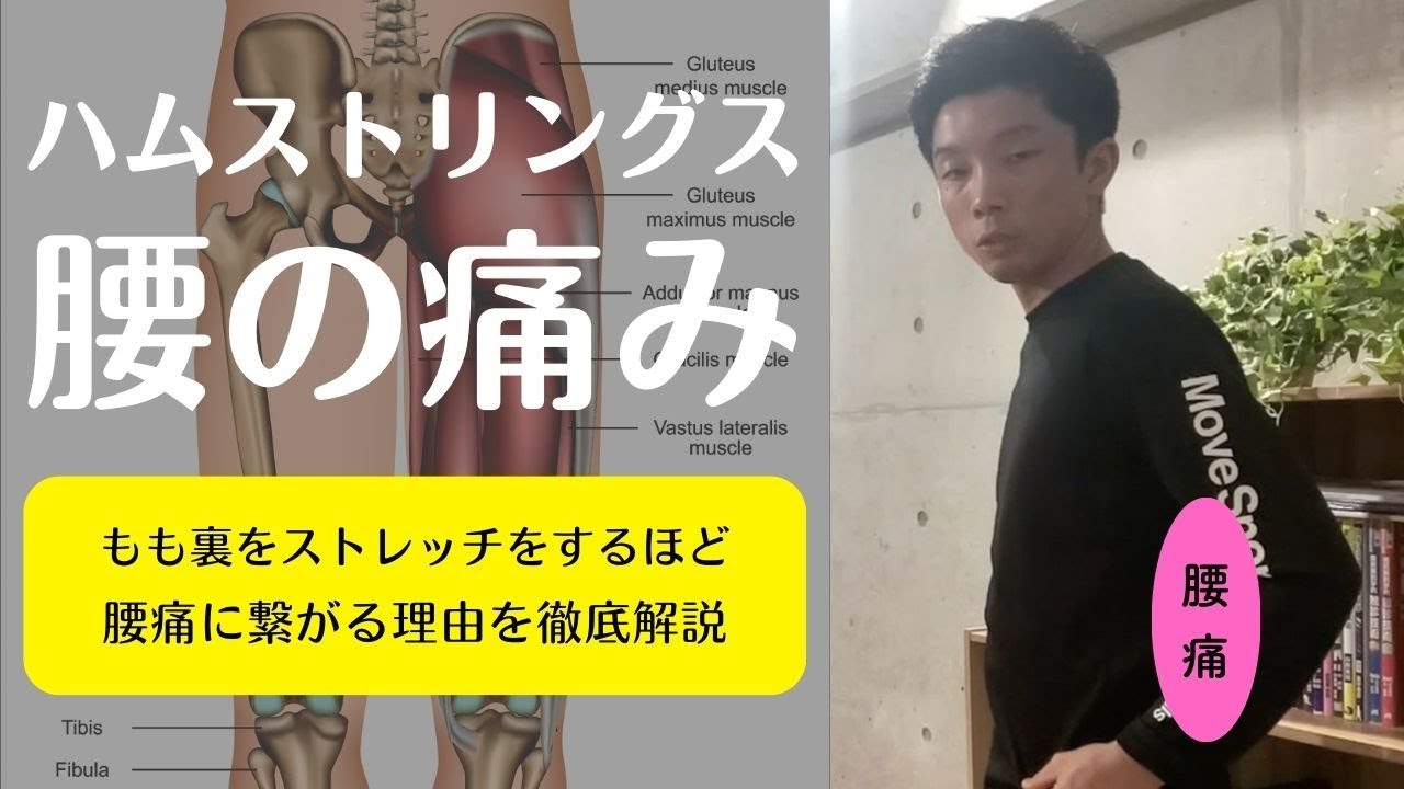 【最新版】ハムストリングスをストレッチすると腰痛になる理由！普段やっているストレッチが腰痛や骨盤の歪みを引き起こす原因になっている可能性を徹底解説！【愛媛県松山市　ピラティス・姿勢・痛み】
