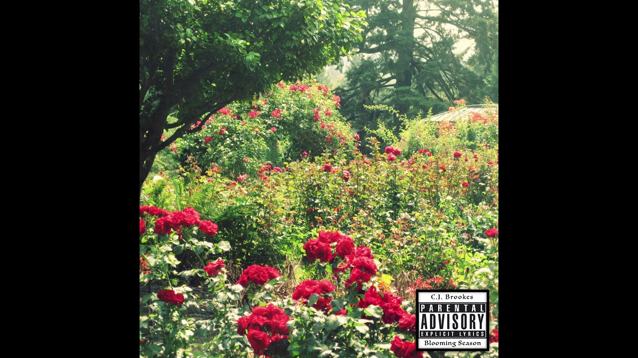 Care Free - C.J. Brookes (Blooming Season)