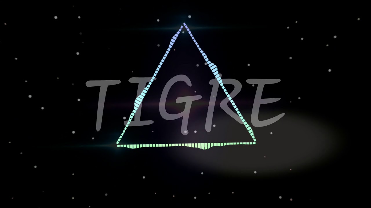 4 y 5 PASO-TIGRE-CUARTO Y QUINTO PASO