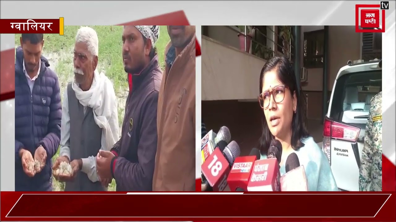 ग्वालियर में मौसम का जबरदस्त कहर, करीब एक दर्जन गांवों में भारी ओलावृष्टि, गेहूं, सरसों , चने की