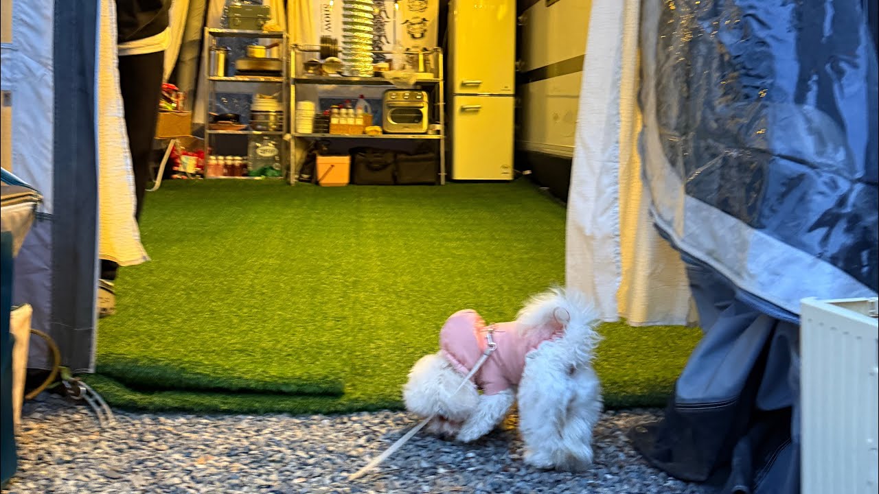 [V_log] 코코의 캠핑 브이로그ㅣ어느 포근했던 겨울날의 캠핑ㅣ어닝텐트 바닥공사ㅣ코코야 너를 위해 준비했어🩷 