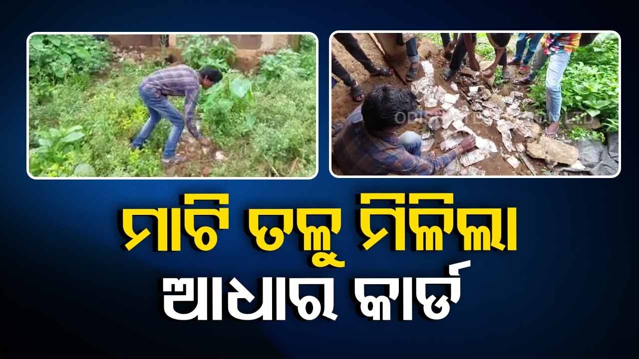 Aadhaar cards left to rot in Odisha village