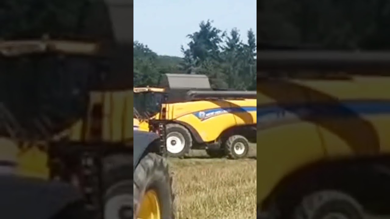 M&auml;hdrescher bei der Ernte von Getreide auf dem Feld