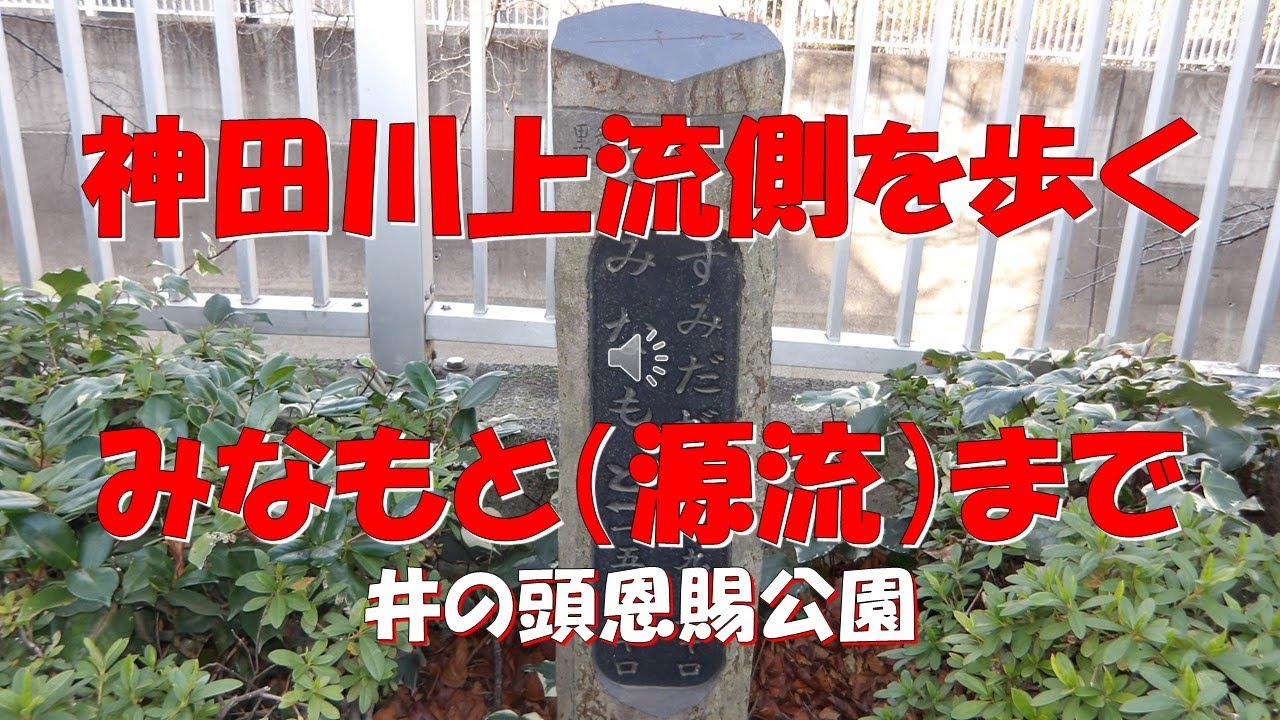 神田川上流側を歩く
