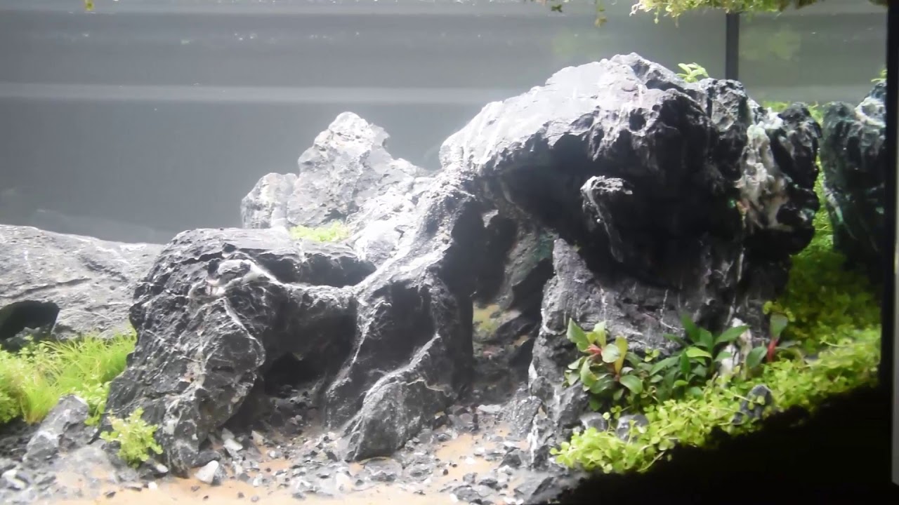 Aqua Show Live Rockscaping 2019 #88. AkwaGadka