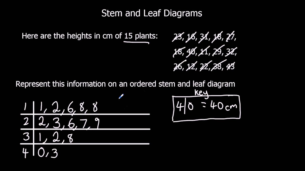 Stem and Leaf Diagrams