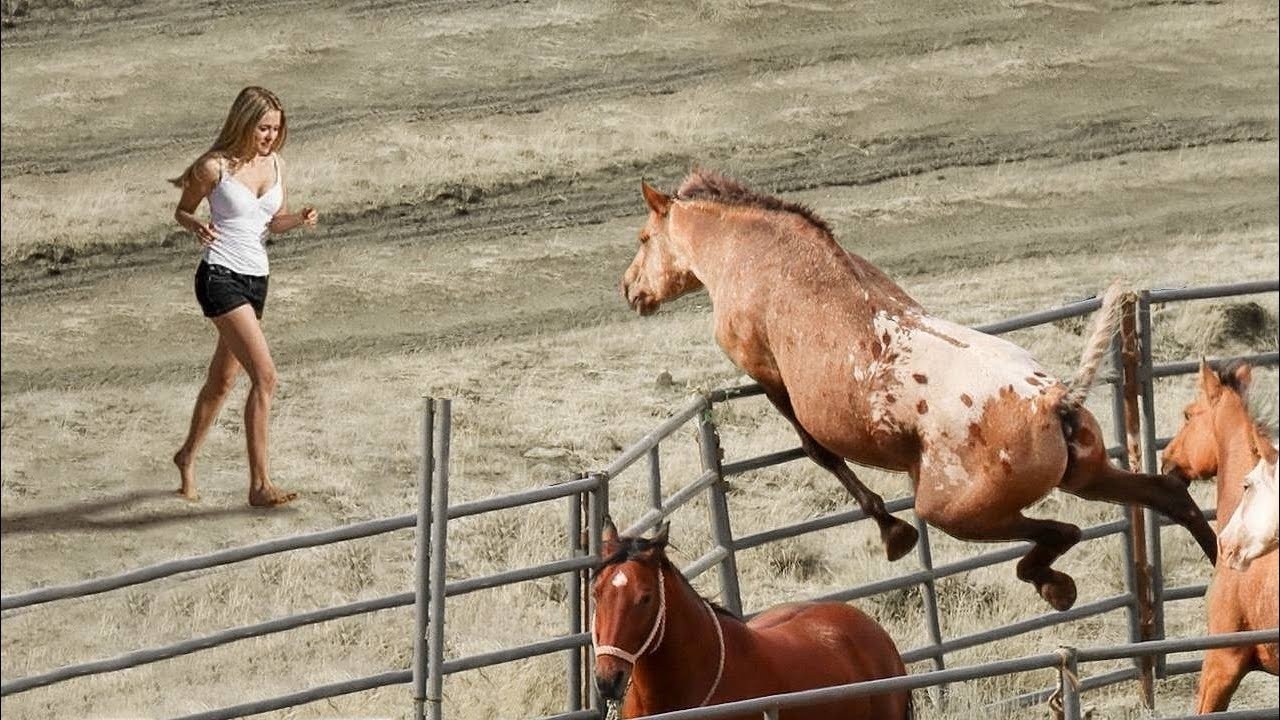 20 Tiere, die ihre Besitzer nach Jahren wiedersehen