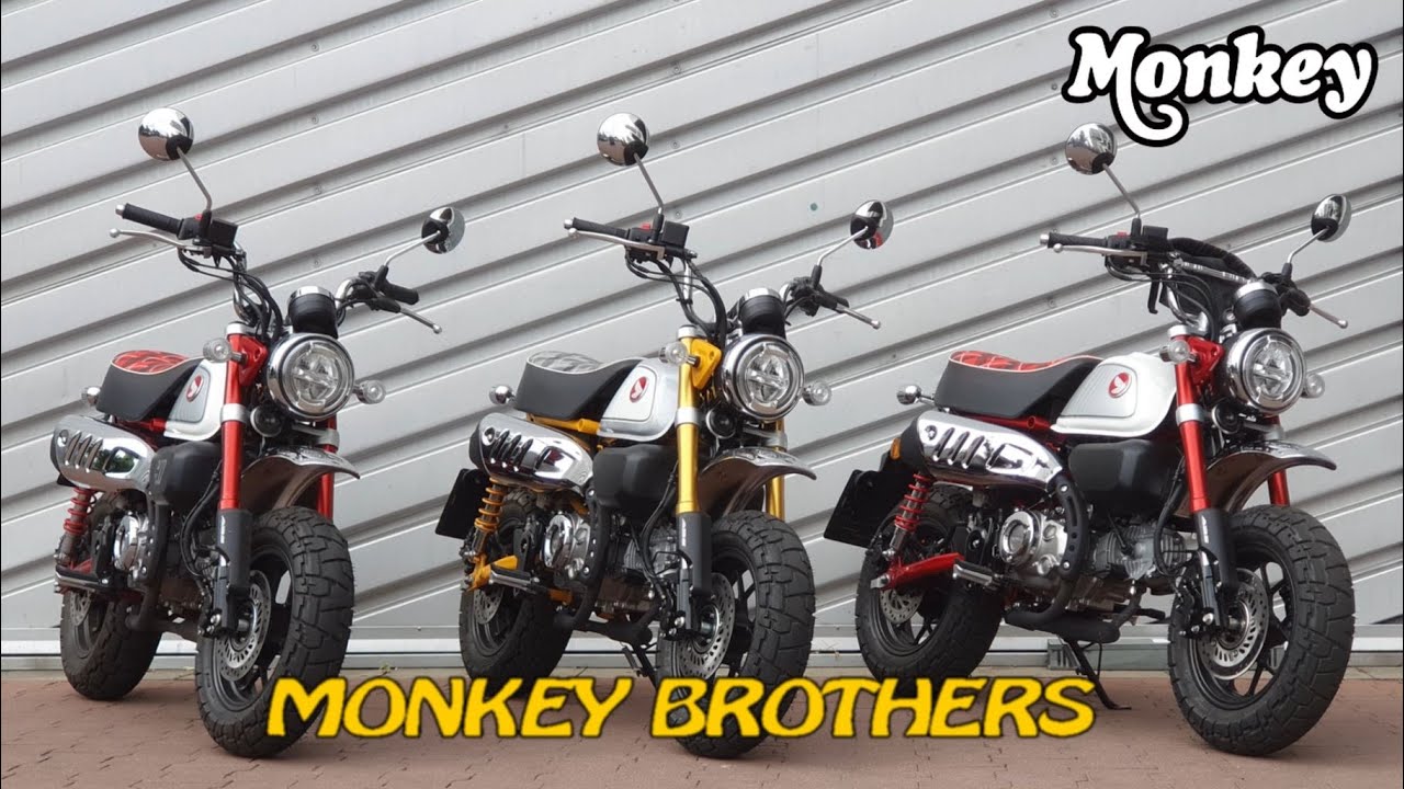 MONKEY BROTHERS - The Beginning