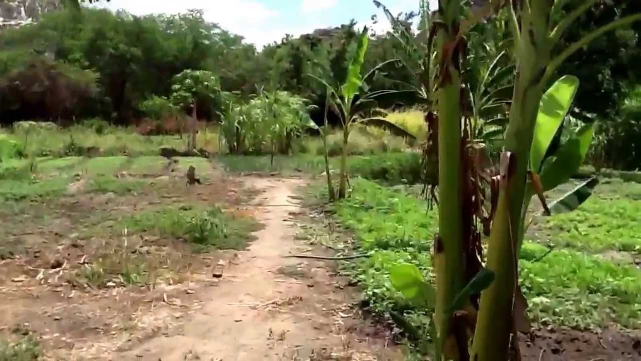 Instituto de Conviv&ecirc;ncia com o Semi-&Aacute;rido, perto do A&ccedil;ude do Cedro