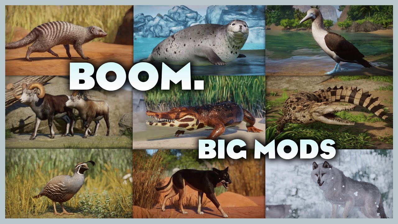 💥The Biweekly Boom! - Planet Zoo Mod Showcase