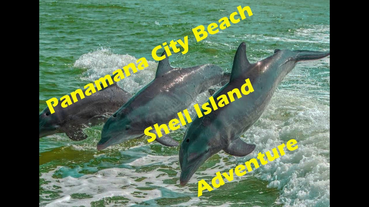 Panama City Beach Shell Island Tour and Sunset Cruise with two of the best adventures on the water.