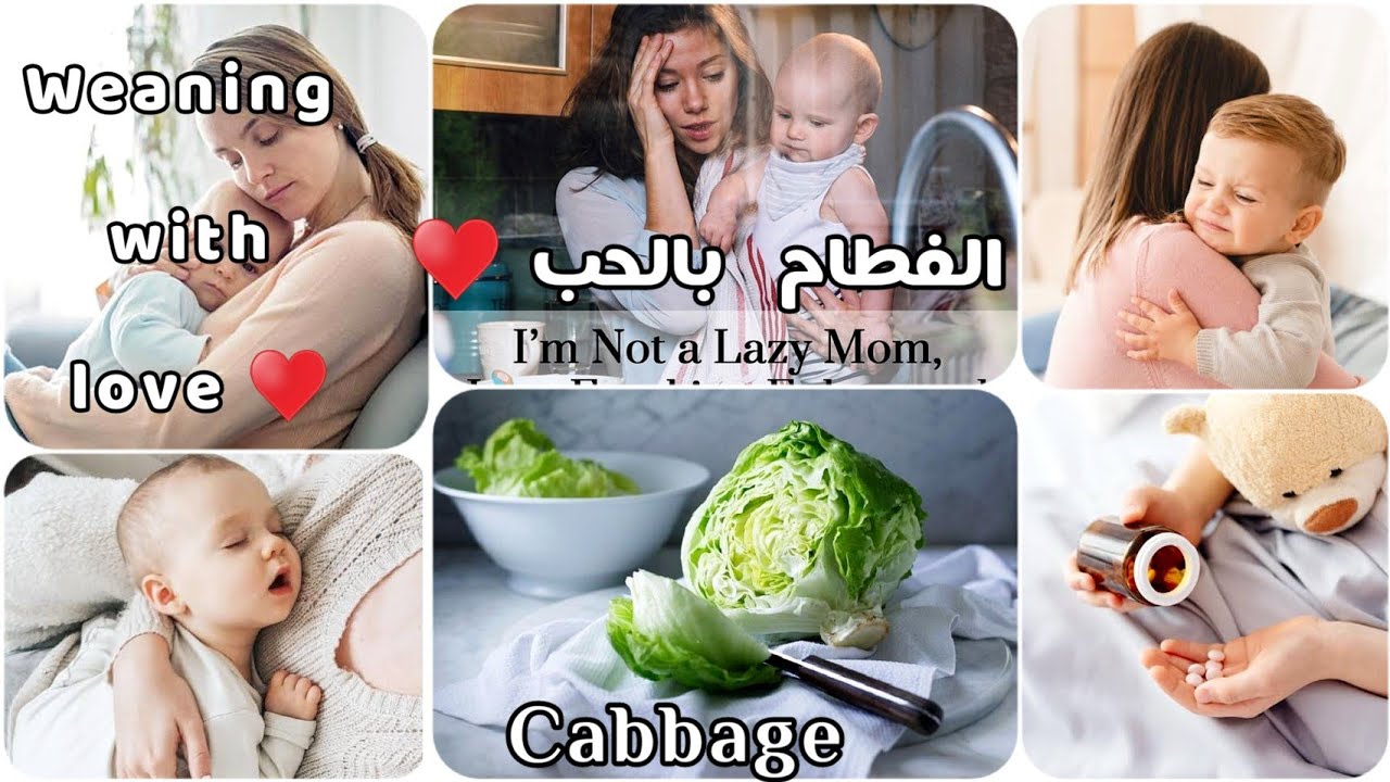 الفطام بالكرنب🥬الفطام بحب/ بدون ألم/بدون صدمة الطفل/بدون نزول ف وزن الطفل بدون أدوية💊أنسب وقت للفطام