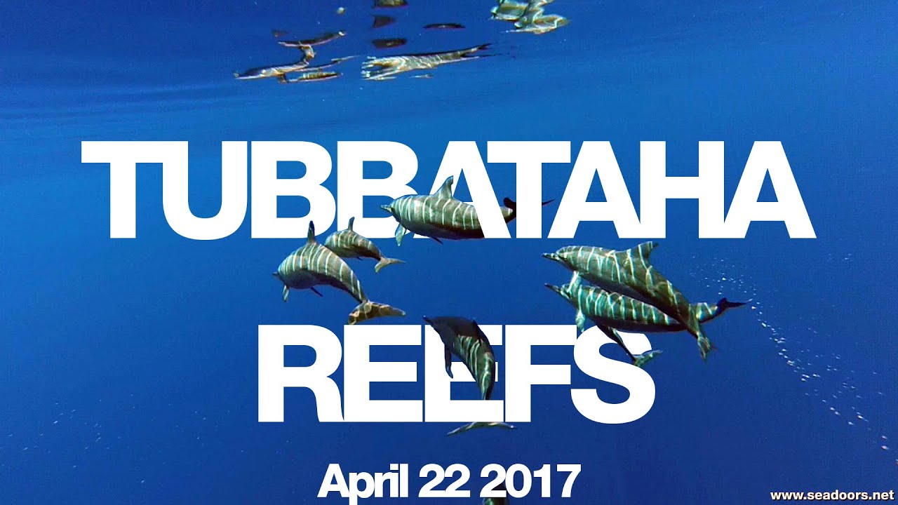 Tubbataha Seadoors  April 22 2017
