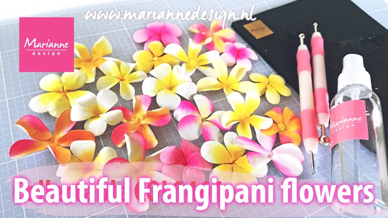 Paper Flower Shaping | How to make Frangipani flowers with the Creatable LR0666 | Marianne Design