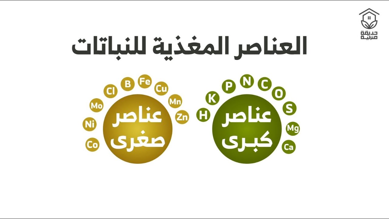 تعرف على العناصر الكبرى والصغرى التي يحتاجها النبات ؟!