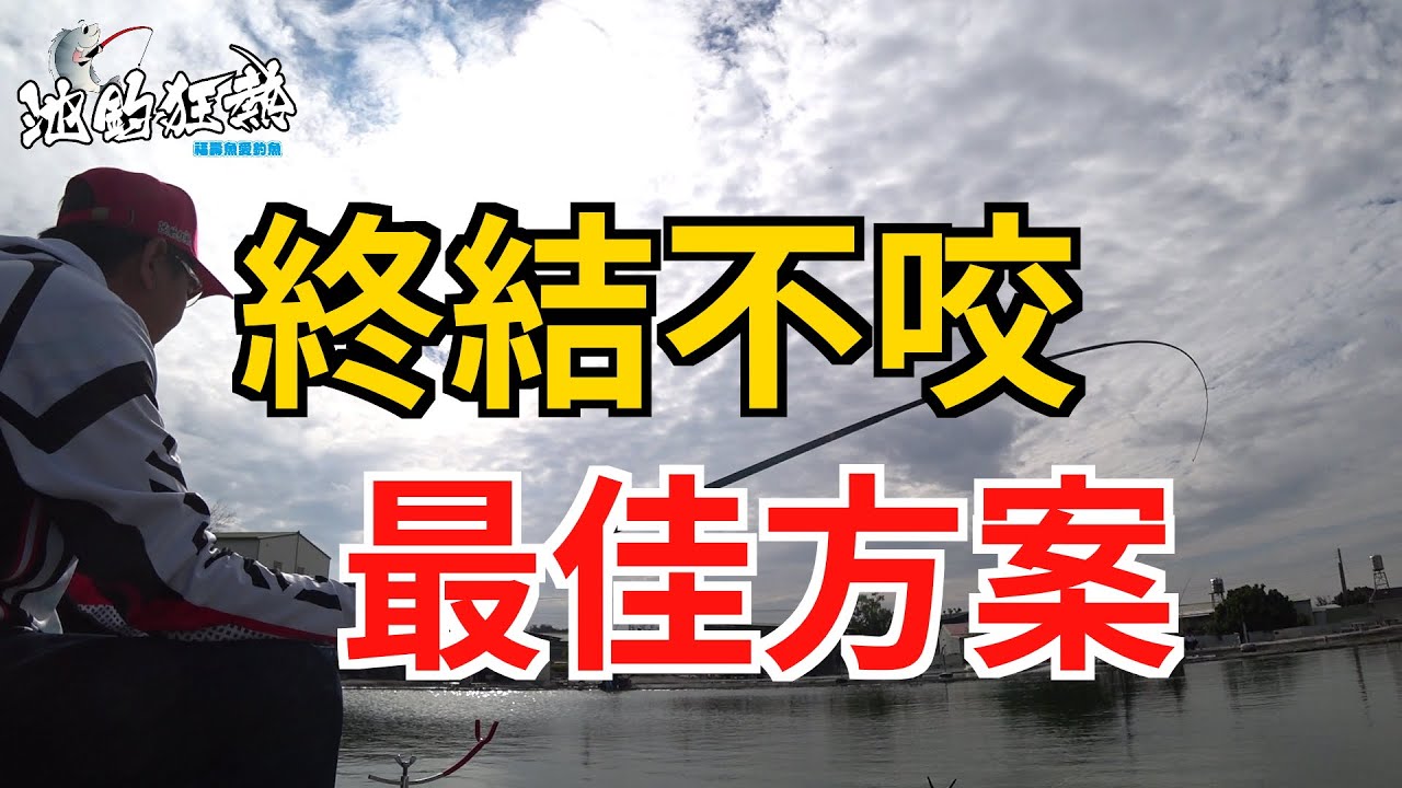 【大川休閒池釣福壽魚】你曾經因為釣不到魚而想放棄釣魚嗎?給你一個終結不咬的最佳解決方案,讓我們一起池釣狂熱吧@cdkr
