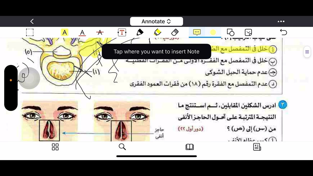 حل اسئلة الدرس الأول كتاب الامتحان أحياء ٣ ث (الجزء الرابع) ٢٠٢٦ د.عبدالله الصاوي