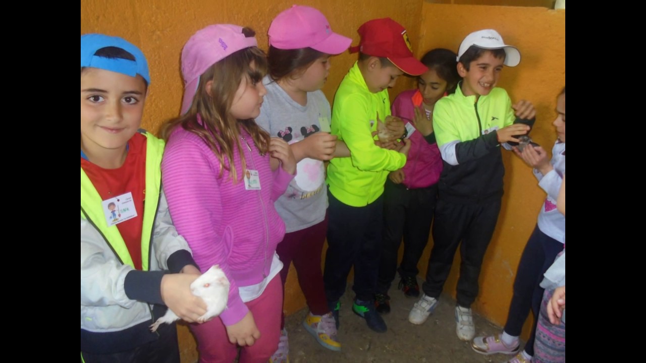 Viaje a la  Granja Escuela Primer Ciclo de Primaria SAFA Baena