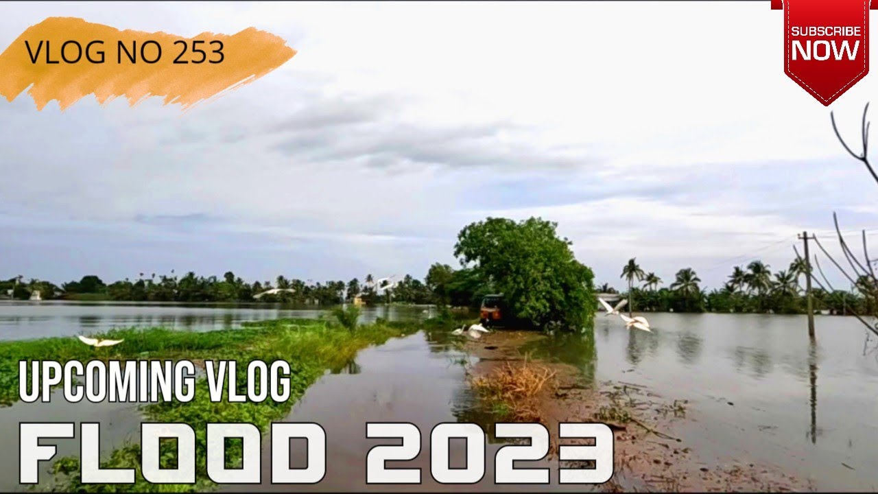 Upcoming video| Flood 2023 #flood  #viral #trending #Flood2018 #nature #calamity