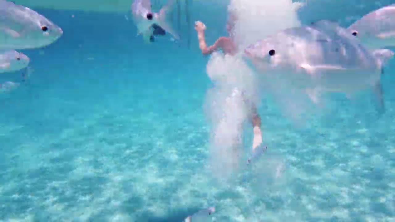 Sardegna Musicvideo 4k