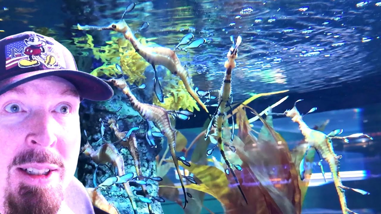 New Sea Dragons and 40th Pixar Topiaries at Epcot Flower & Garden Festival 2026 Vlog @MarkyMouse