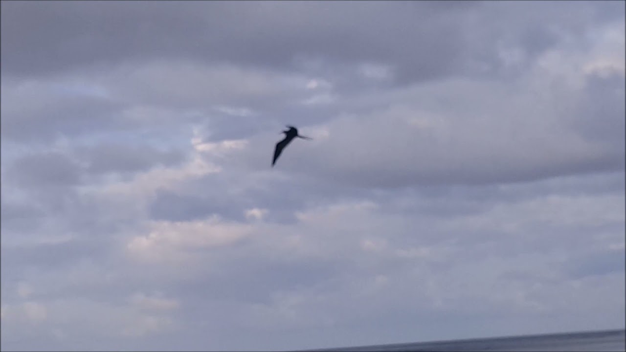 Overcoming Anxiety through Divine Principles