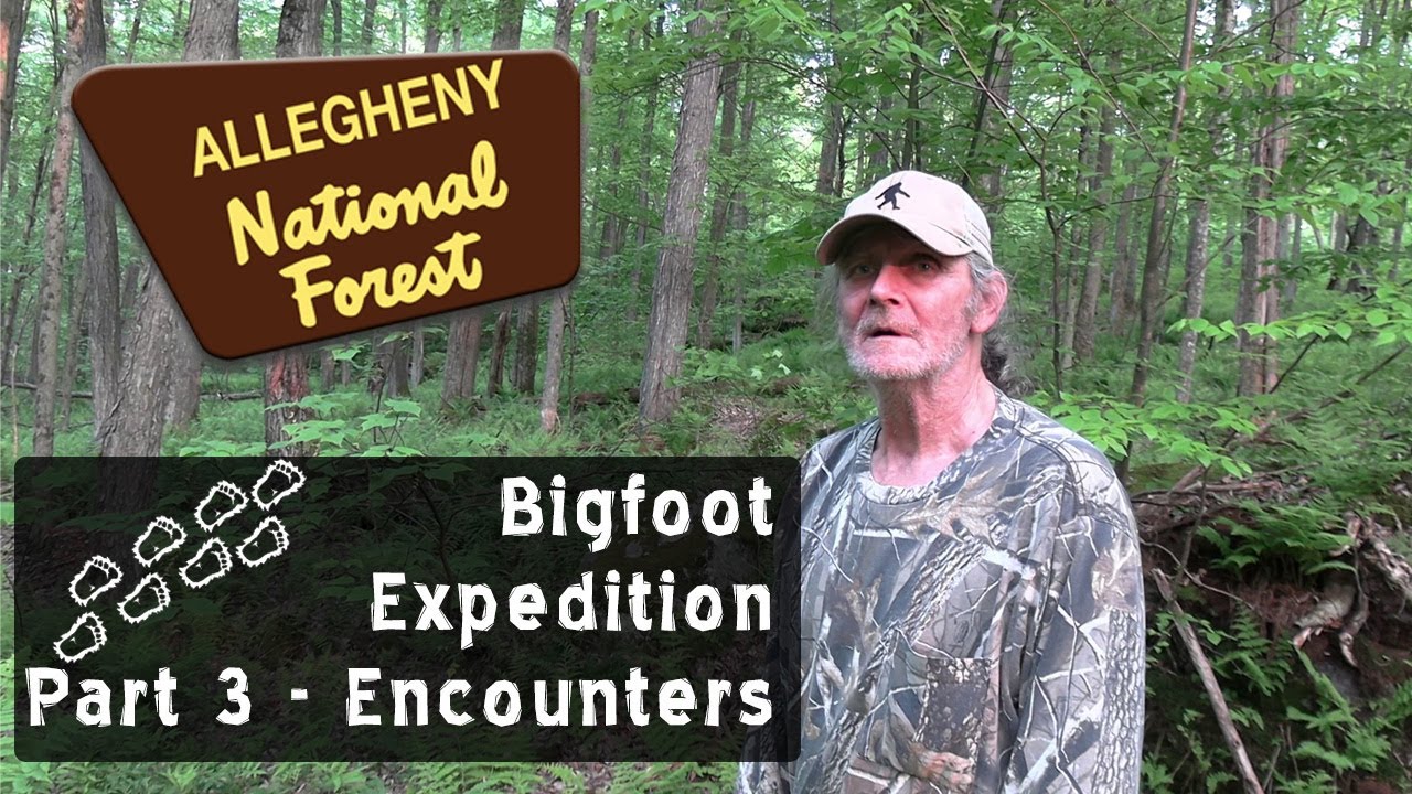 Bigfoot Sightings & Strange Encounters | Kinzua Bridge and Allegheny Mysteries (Part 3/4)